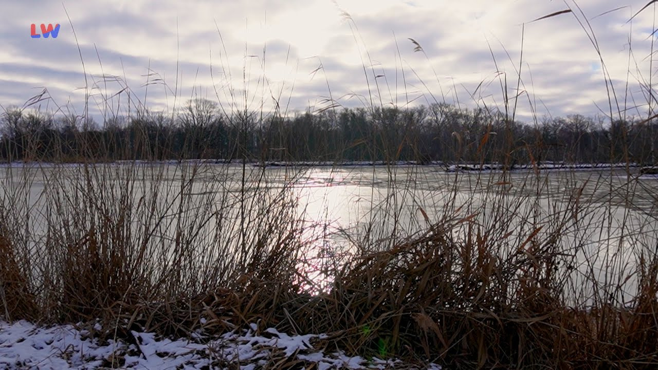 Malschwitz OT Niedergurig: Spreeniederung kommt nicht ins Biosphärenreservat