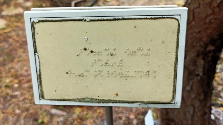 Radeberg: Crowdfunding für barrierefreie Pflanzenschilder im Blindengarten
