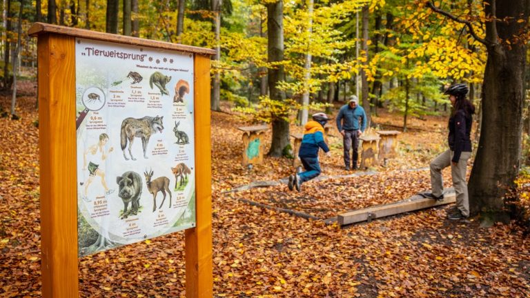 Bischofswerda: Wanderweg und Natur-Erlebnis-Pfad teilweise gesperrt