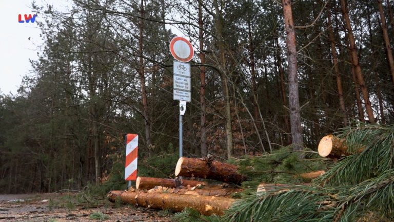 Hoyerswerda: Arbeiten am Scheibe-See gehen weiter