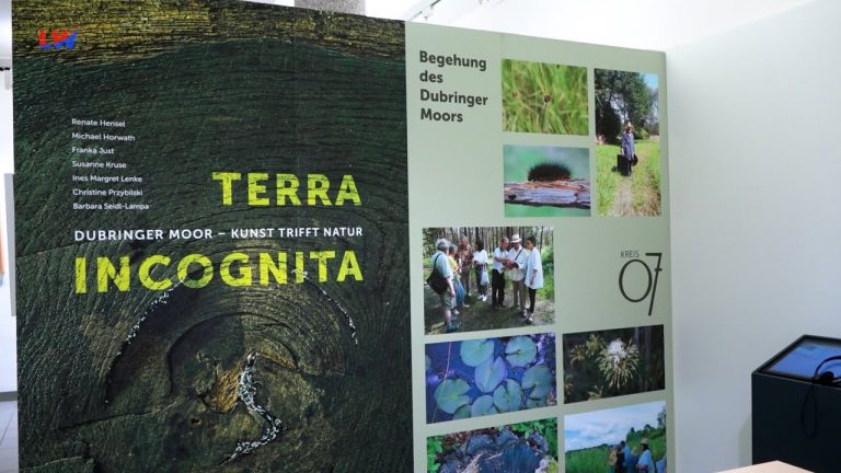 Kamenz: „TERRA INCOGNITA“ – Kunst trifft Natur im Dubringer Moor