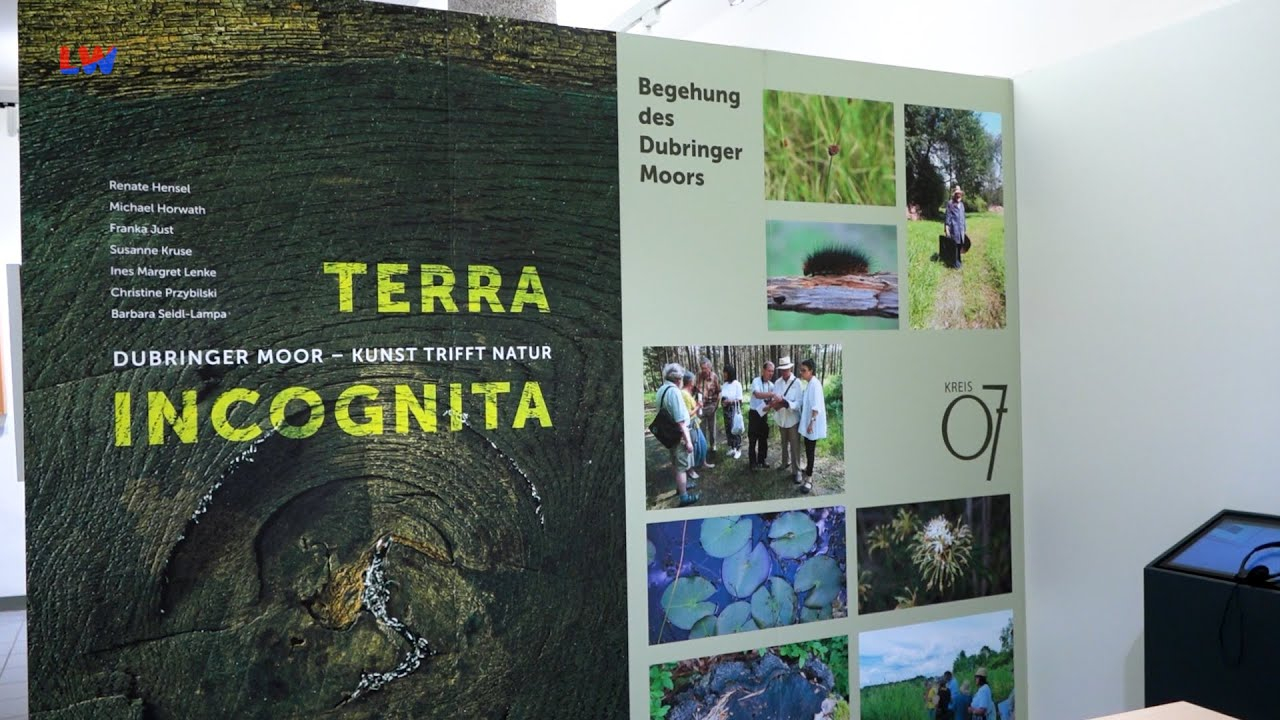 Kamenz: „TERRA INCOGNITA“ – Kunst trifft Natur im Dubringer Moor