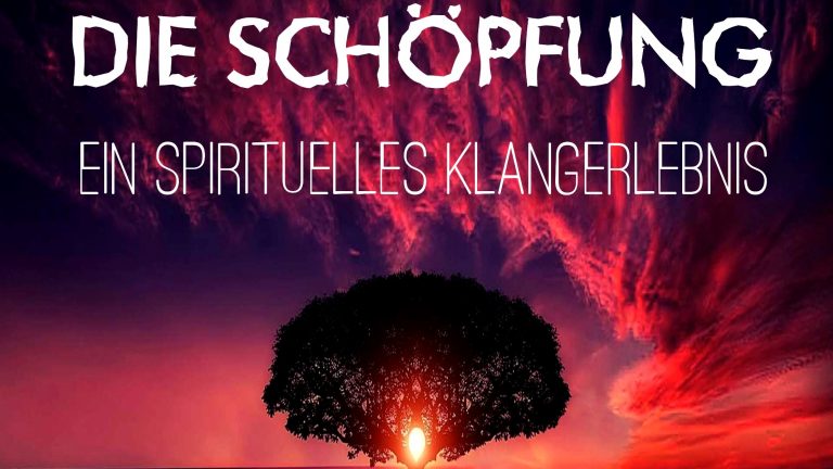 Kamenz: „Die Schöpfung“ – Lichtinstallation