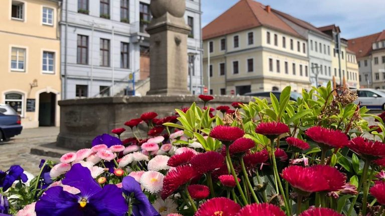 Bischofswerda: Finanzieller Dünger gesucht