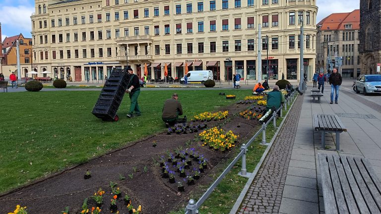 Görlitz: Frühling angepflanzt