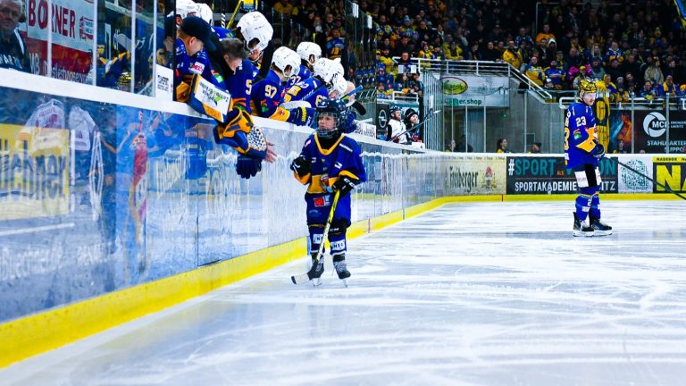 Weißwasser: Eishockey-Füchse starten große Spendenaktion