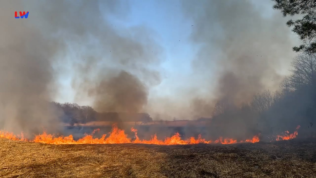 Lausitz: Waldbrandgefahr aktuell so hoch wie selten im Winter