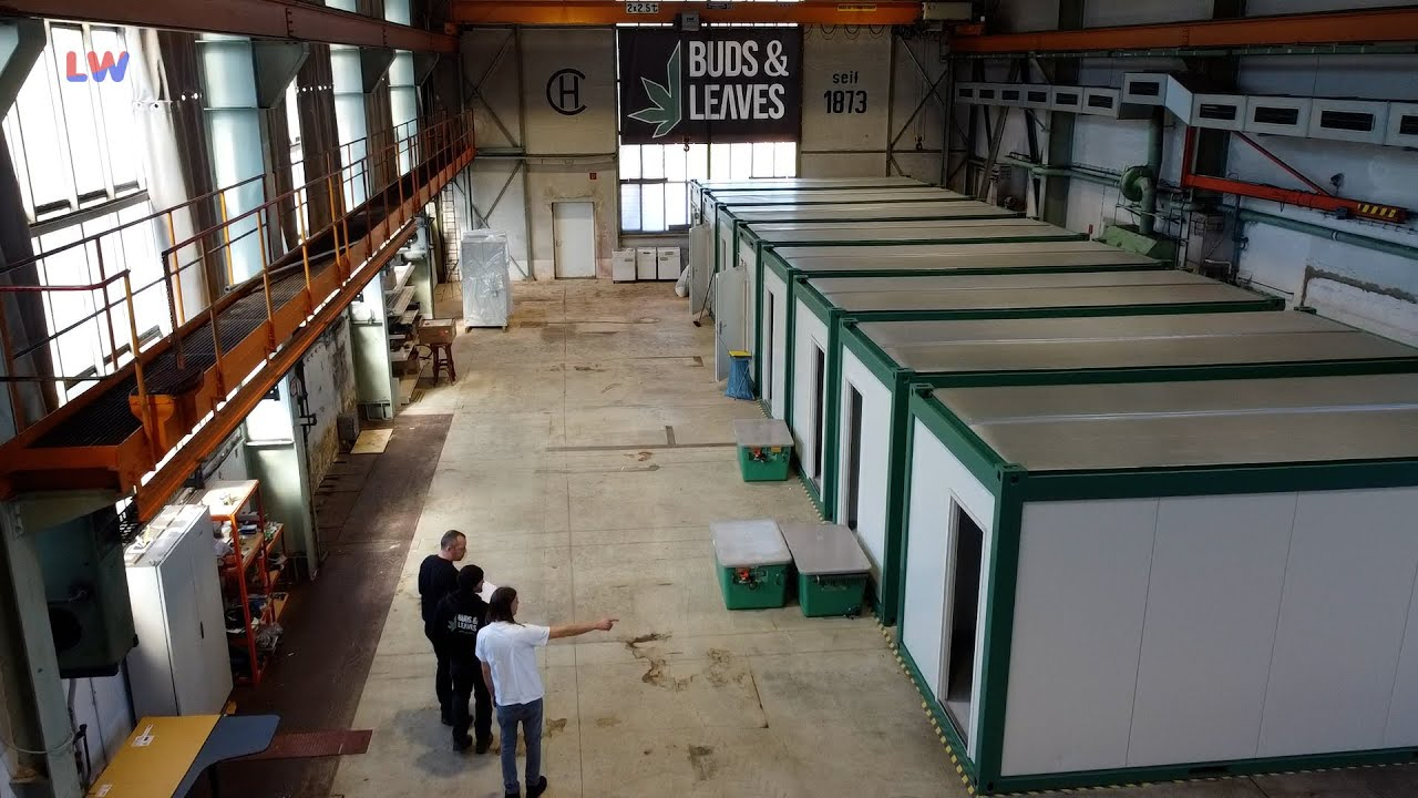 Ohorn: Zu Besuch bei Buds&Leaves