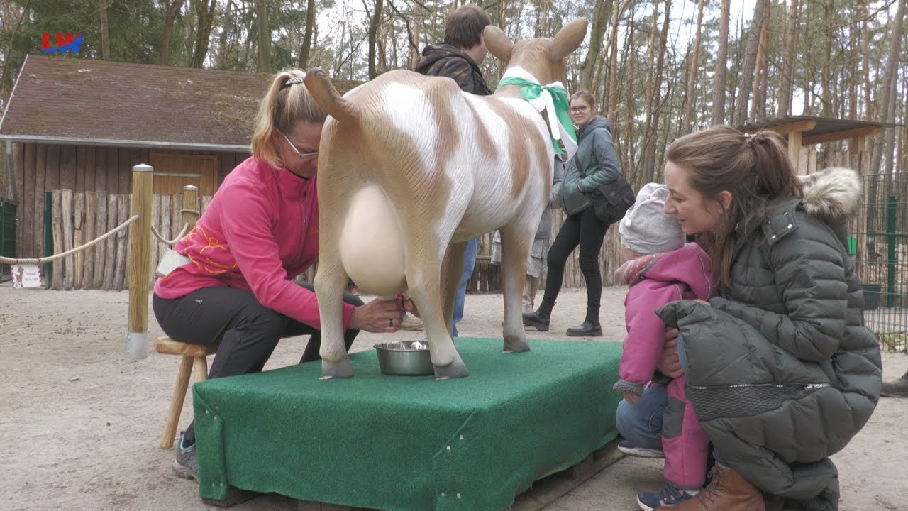 Finsterwalde: Neue Attraktion im Tierpark
