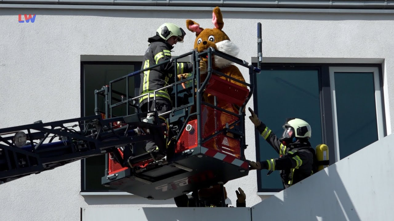 Hoyerswerda: Feuerwehr rettet Osterhase