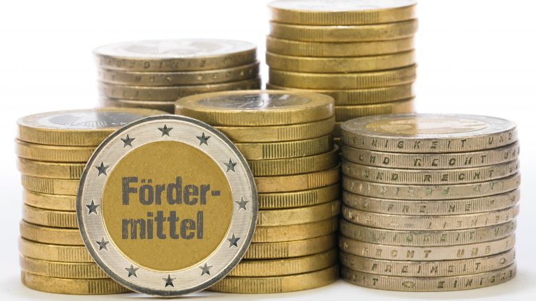 Zittau: Partnerschaft für Demokratie bewilligt Fördermittel