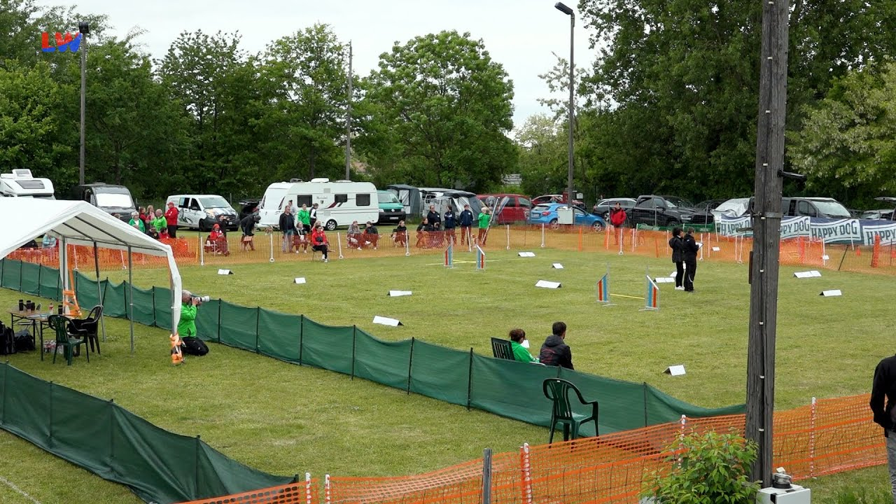 Hoyerswerda: Meisterschaft im Hundesport