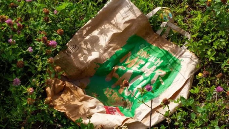Olbersdorf: Aufräumaktion im Naturpark