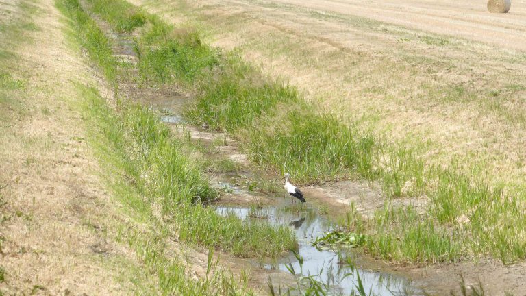 LK Elbe-Elster: Wasserentnahme aus Oberflächengewässern untersagt