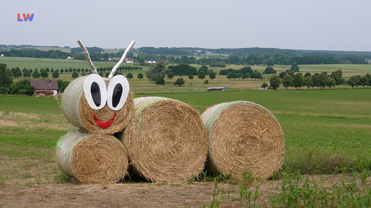 Crostwitz: 800 Jahre wollen gefeiert werden