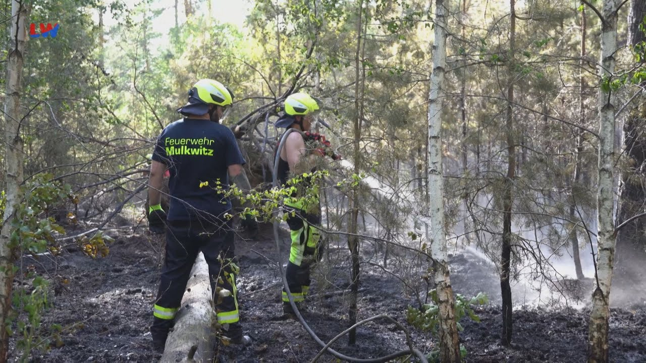 Schleife: Wieder Waldbrand an der Landesgrenze zwischen Brandenburg und Sachsen