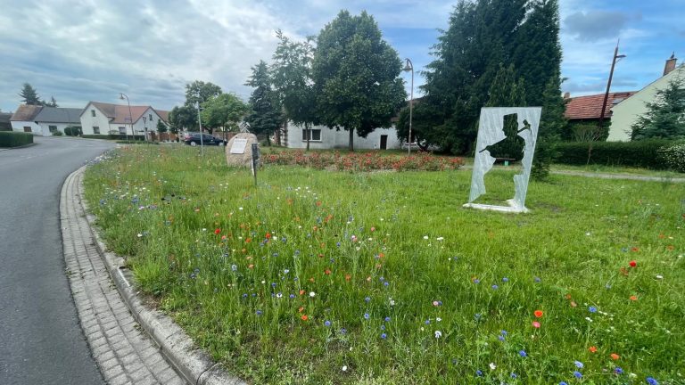 Spremberg OT Terpe: Blühwiese dank Mikrofonds