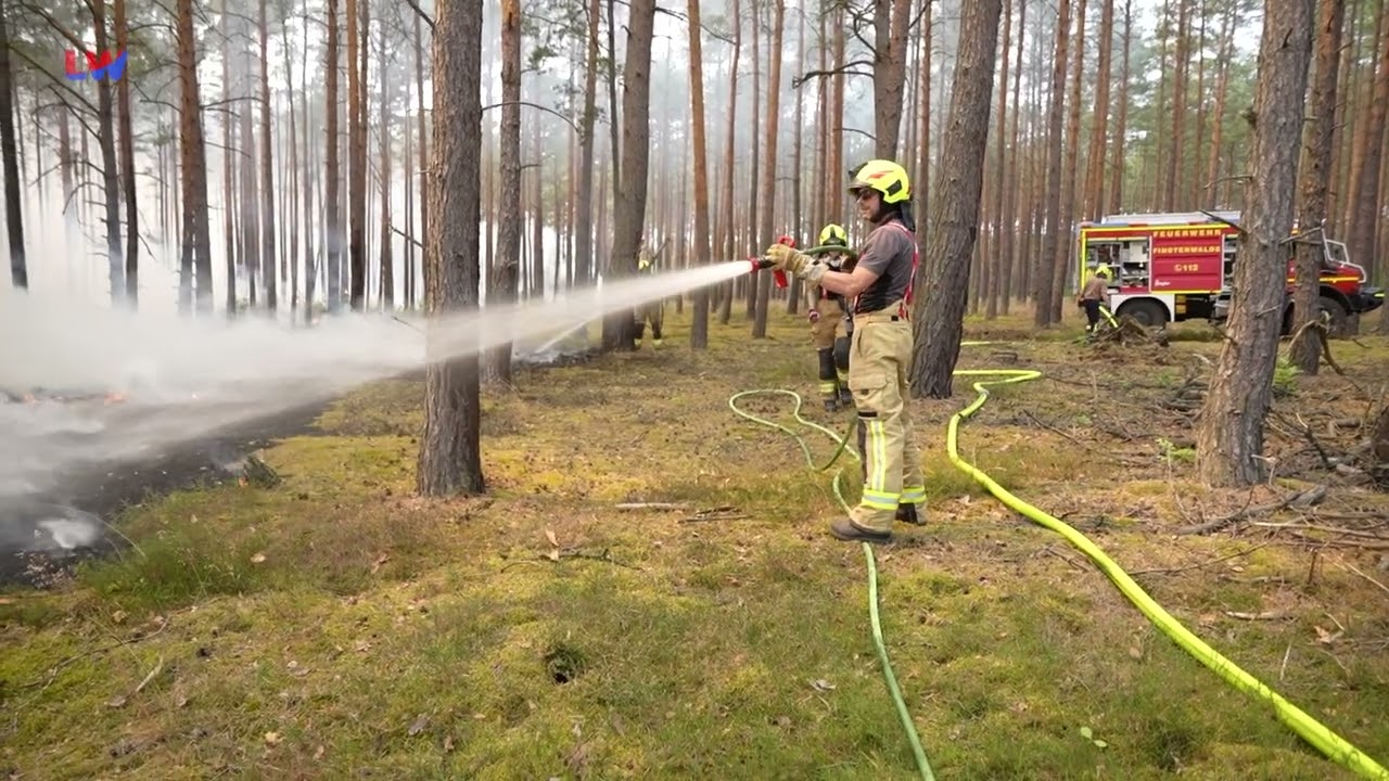 Babben: Feuerwehrleute bei Waldbrand verletzt