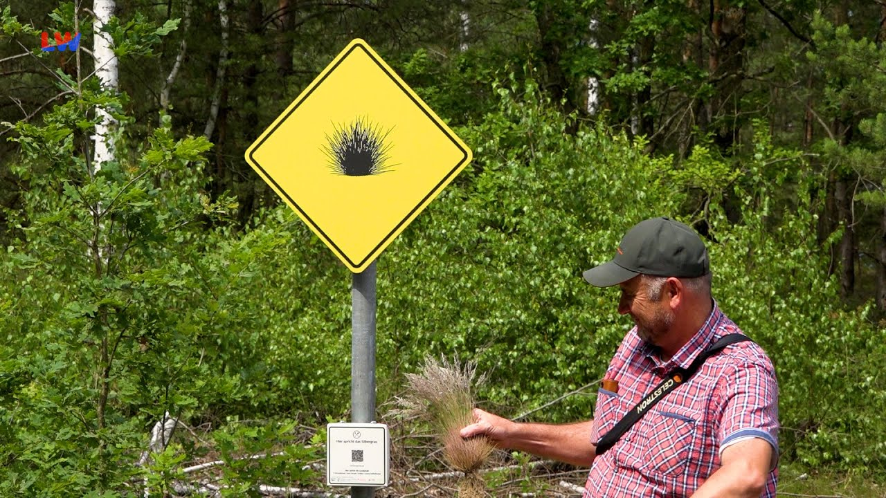 Elsterheide: Die Landschaft hat das Wort