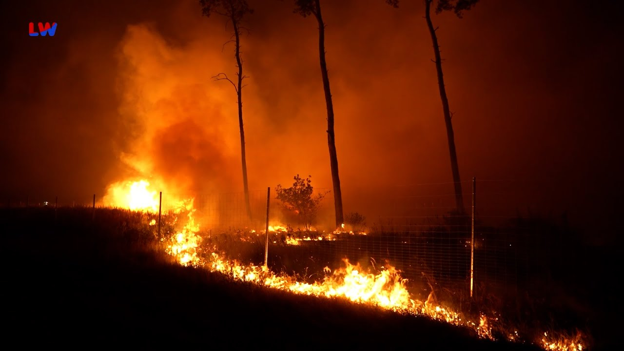 Gohrischheide: Einsatz beschränkt sich vor allem auf Restablöschungen
