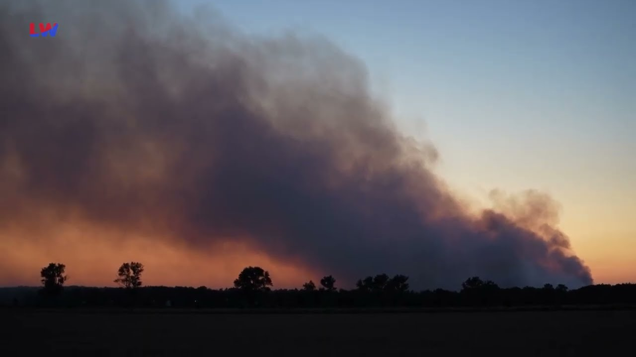 Gohrischheide: Löscharbeiten wegen Munitionsbelastung erschwert