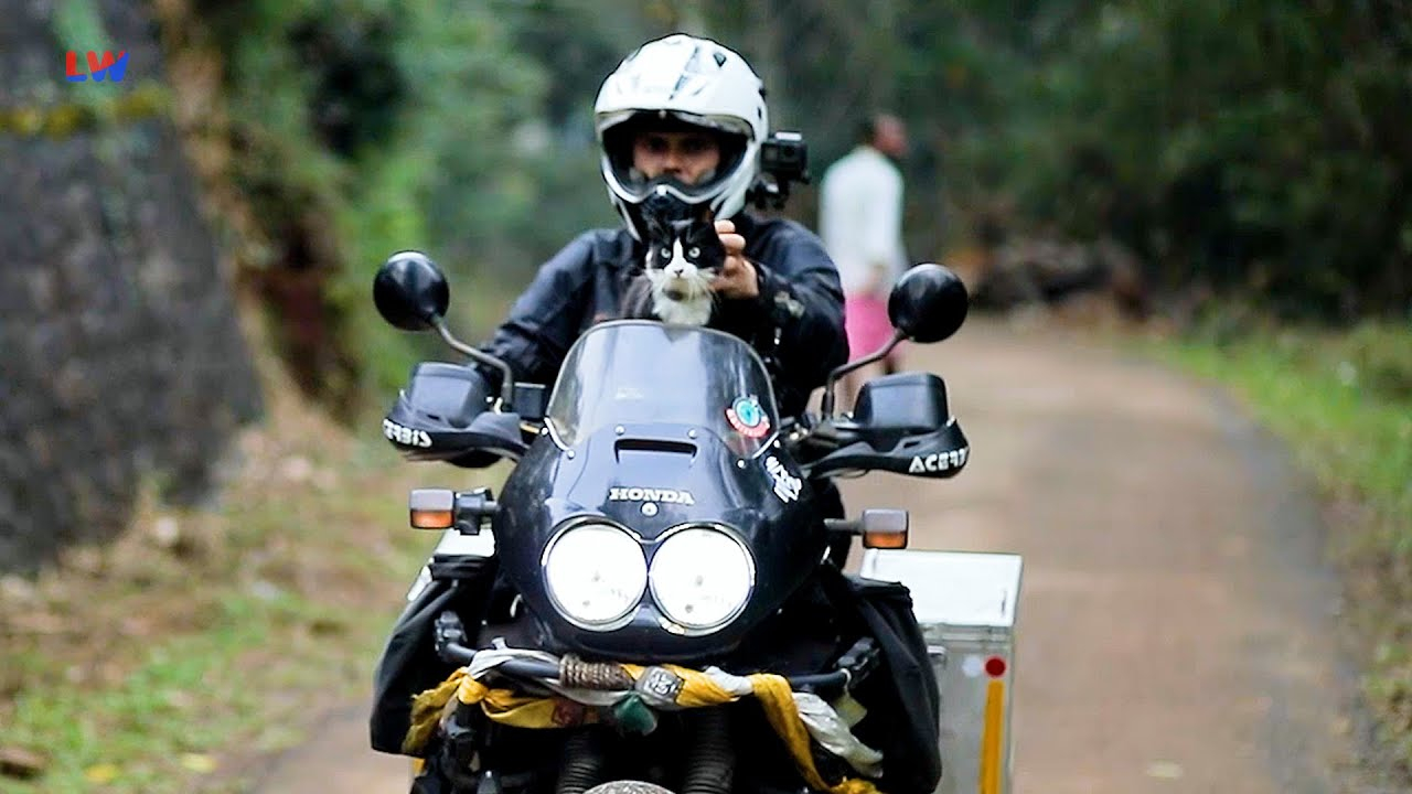 Haselbachtal: Tierisches von der Biker-Katze