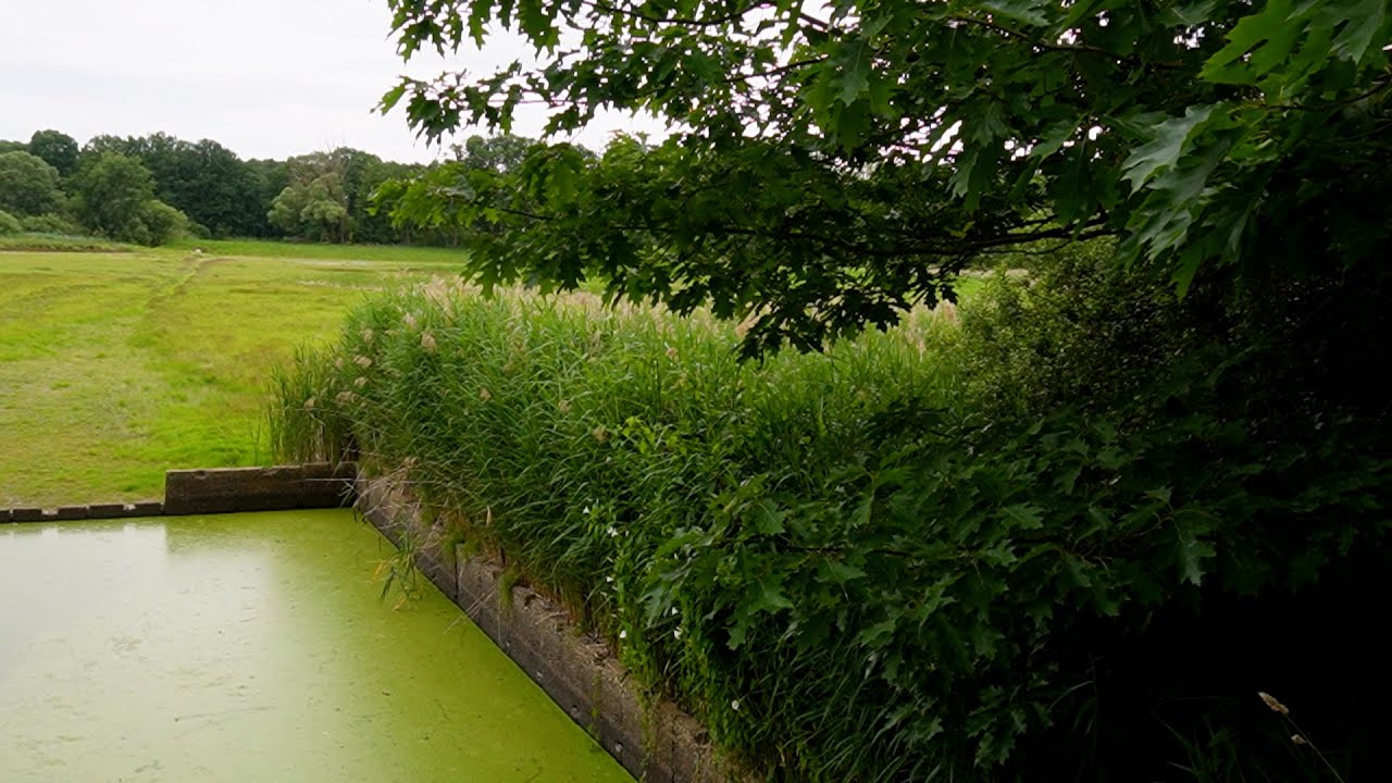 Neschwitz OT Caßlau: Wiesenteiche wurden renaturiert