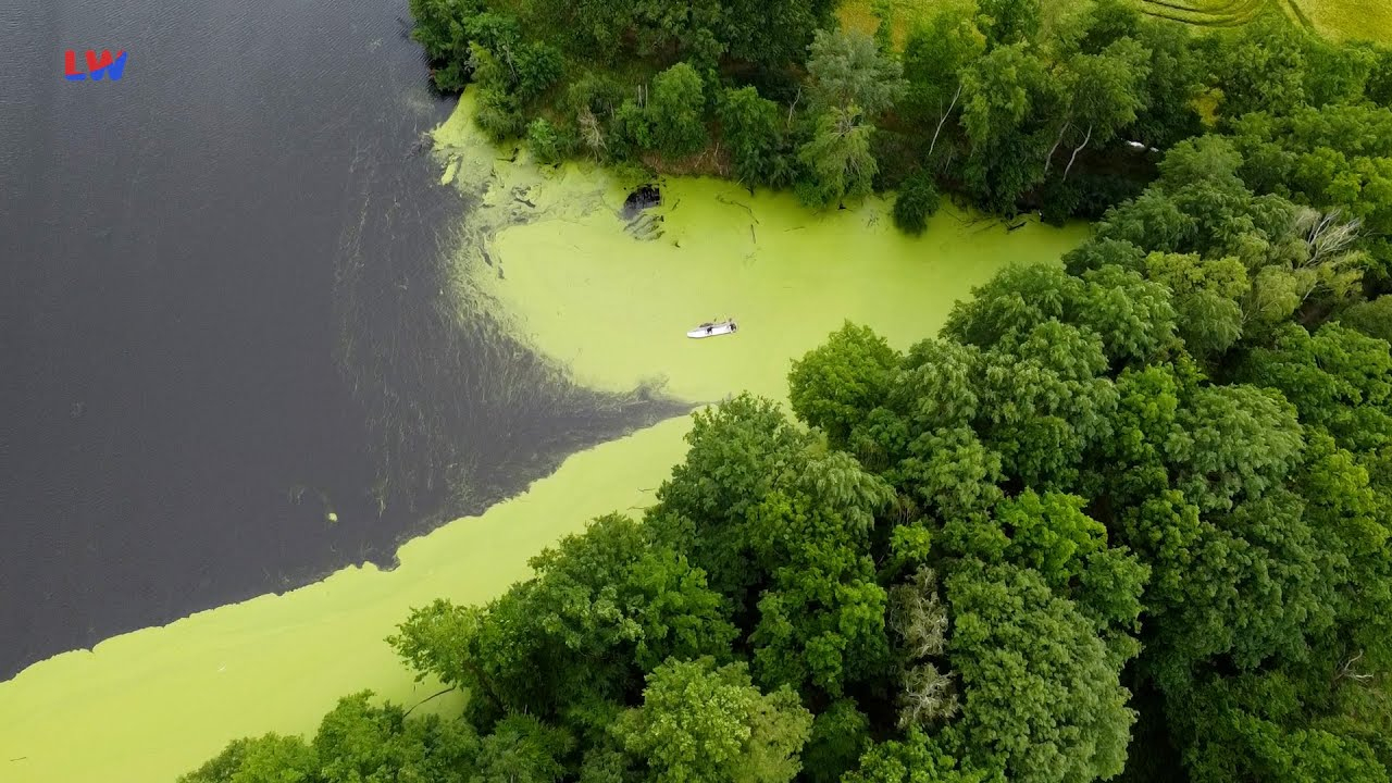 Radibor: Fischnot nicht nur am Wuckranteich