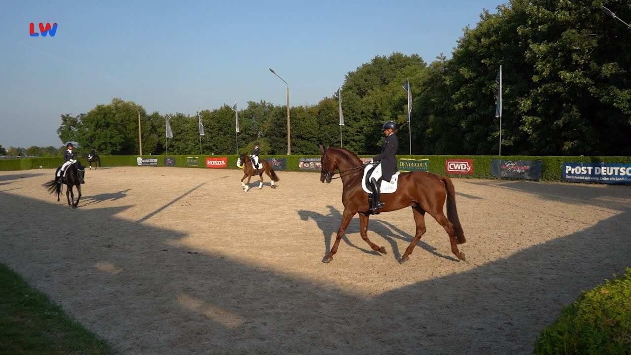 Görlitz: Erstmals internationales Dressur-Reit-Turnier im Rosenhof