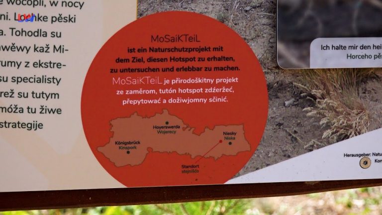 Mücka: Ein neues TeiL im MoSaiK