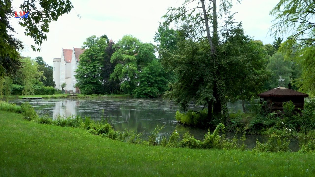 Spremberg: Schwanenteich im Ungleichgewicht