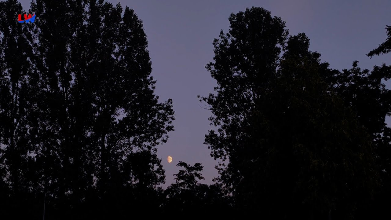 Wachau: Mondscheinbaden lockte hunderte Besucher ins Freibad