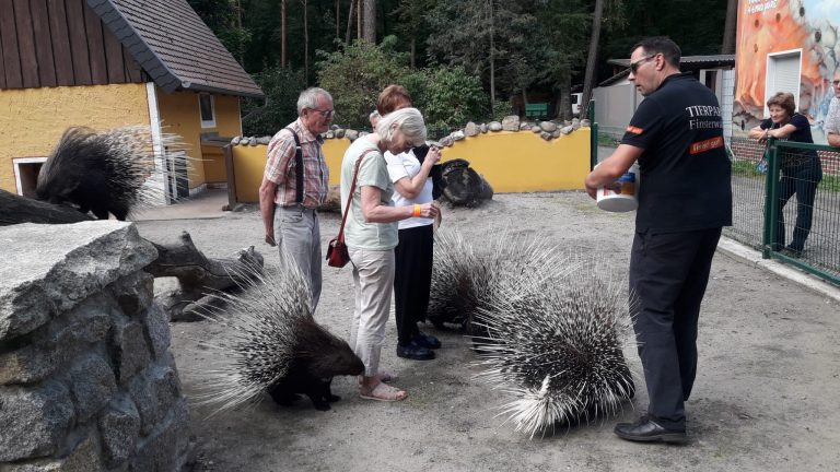 Finsterwalde: Erfolgreiches Tierpaten-Wochenende im Tierpark