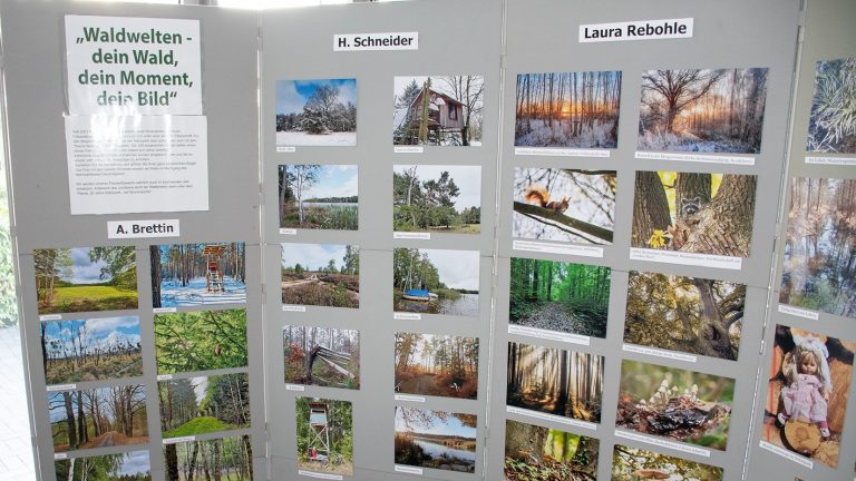 Herzberg/E.: Gewinner-Fotos in der Kreisverwaltung