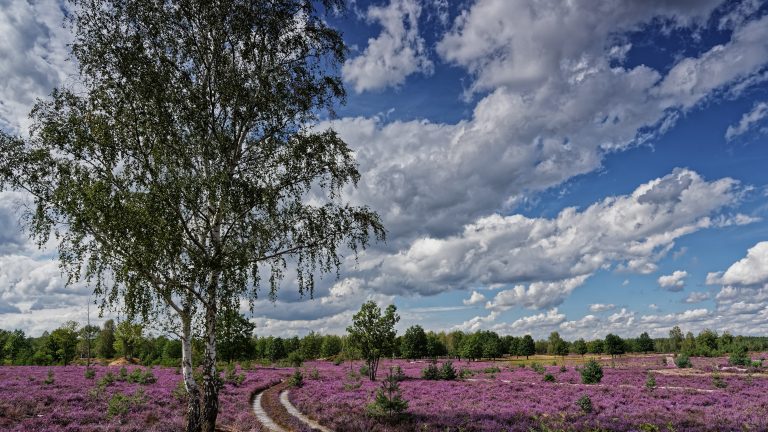 LK Elbe-Elster: Naturpark weiterhin „Qualitäts-Naturpark“