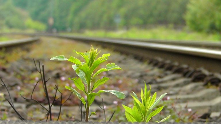 Herrnhut/Oberlausitz: „Herrnhuter Bahn“ offiziell in Schienen-Planungen aufgenommen