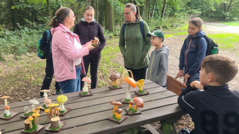 LK Bautzen: „Junge Naturwächter“ entdecken Pilze