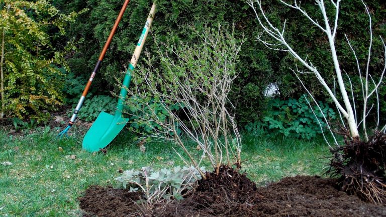 Gablenz OT Kromlau: Rhododendronpark lädt zum 23. Parkseminar ein