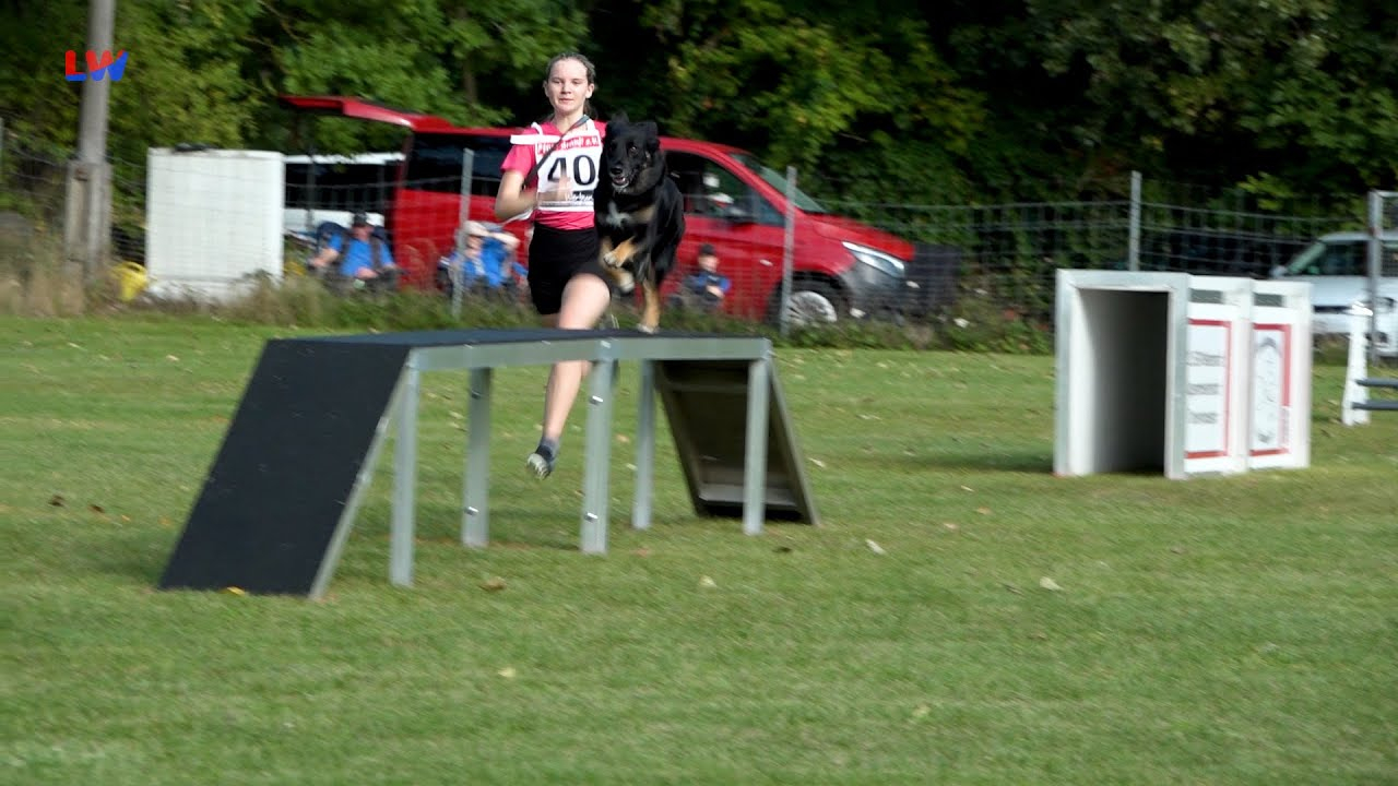 Hoyerswerda: Landesmeisterschaft auf vier Pfoten