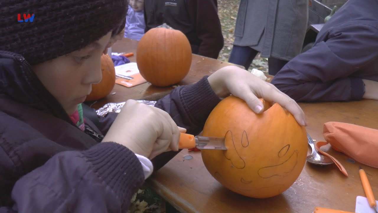 Kolochau: Kürbisfest für Groß und Klein
