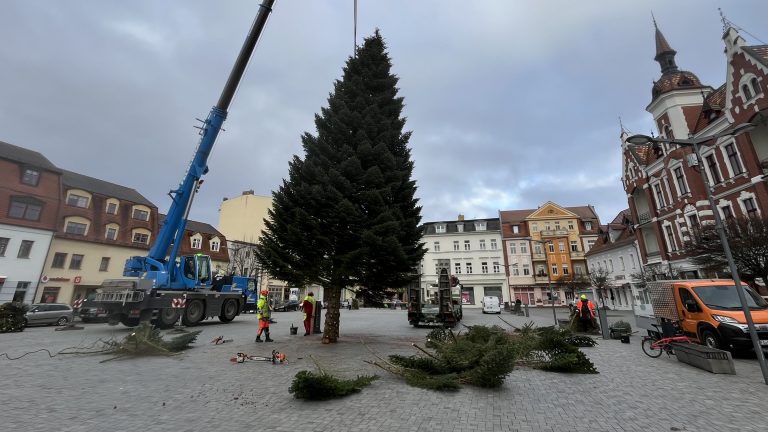 Finsterwalde: Weihnachtsbaum steht