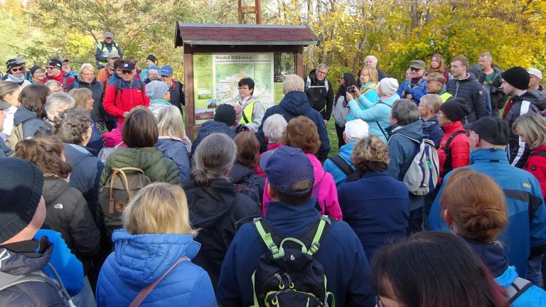 Hohenleipisch: Rekordteilnahme am Erlebnistag Wandern