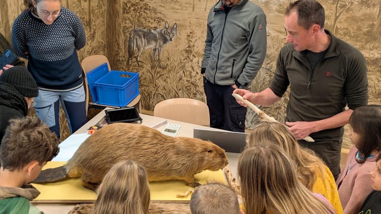 Neschwitz: Junge Naturwächter entdecken den Biber