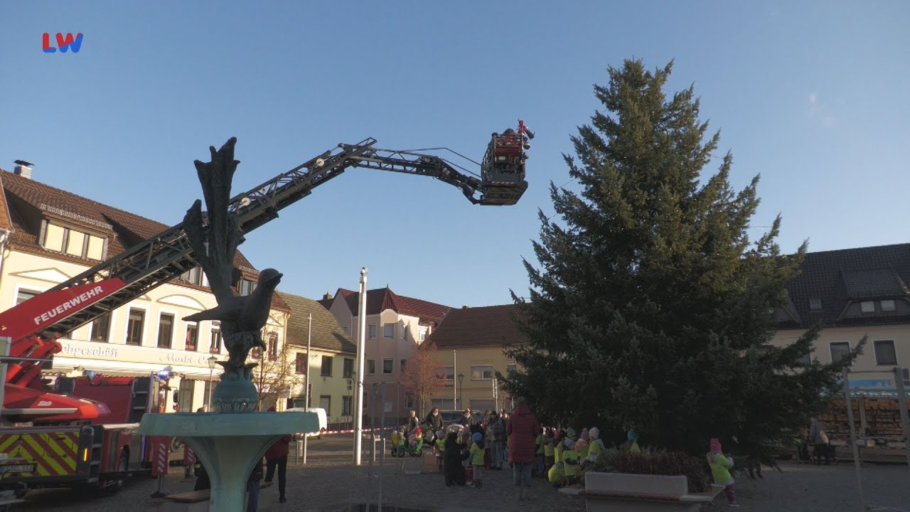 Elsterwerda: Weihnachtsbaumschmücken auf dem Marktplatz