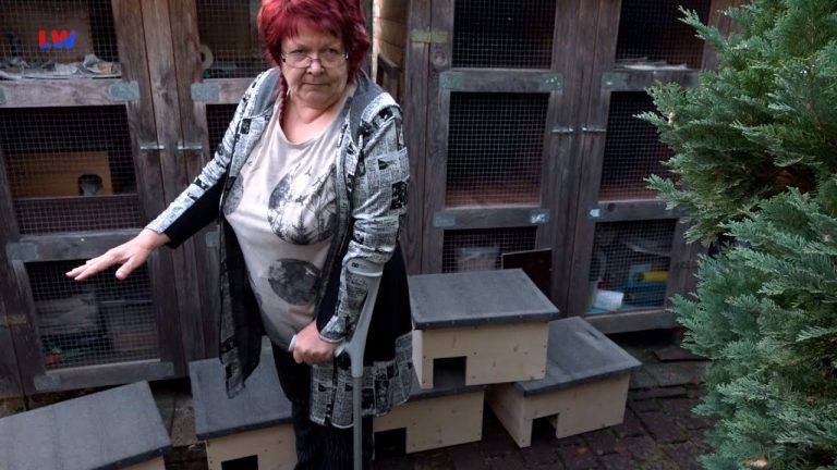 Hoyerswerda: Ein neues Zuhause für die Stacheltiere