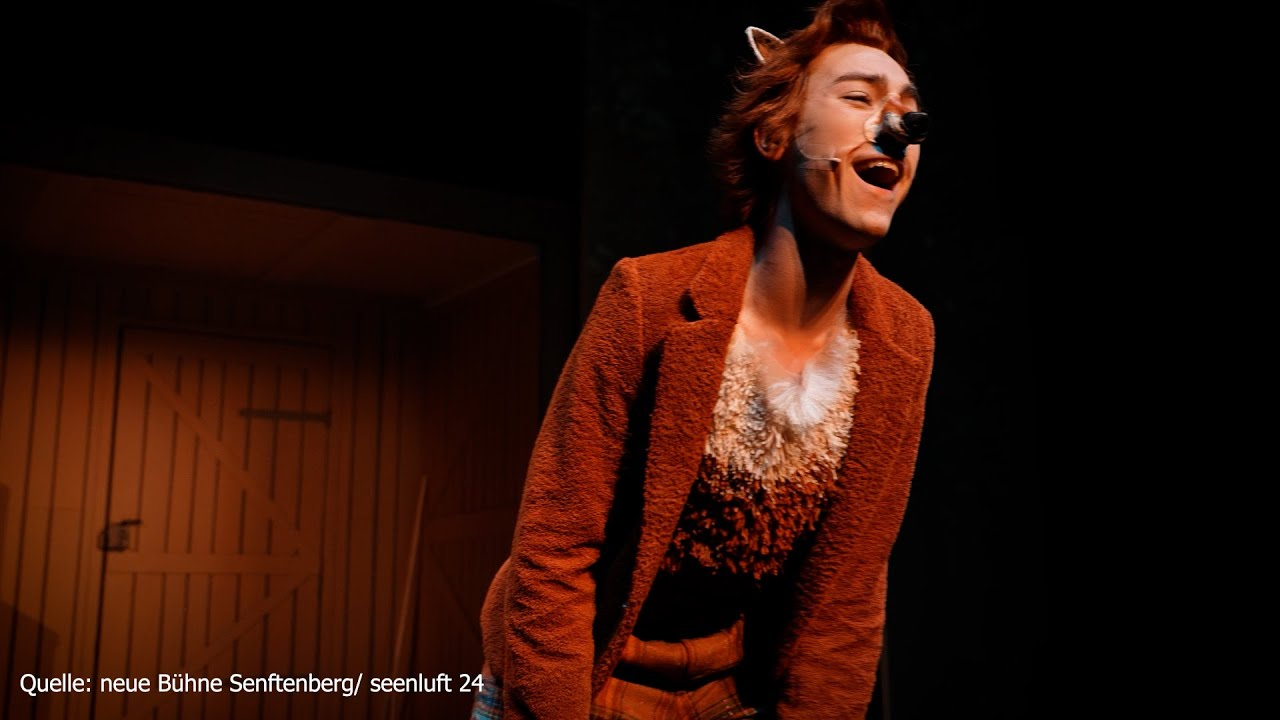 Kulturfenster: Einblicke in „Gans, du hast mein Herz gestohlen!“