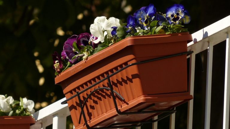 Spremberg: Bürgerhaushalt 2025 – diese Projekte werden umgesetzt