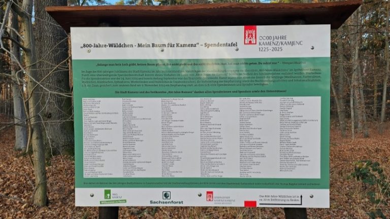 Kamenz: Projekt „800-Jahre-Wäldchen“ erfolgreich abgeschlossen