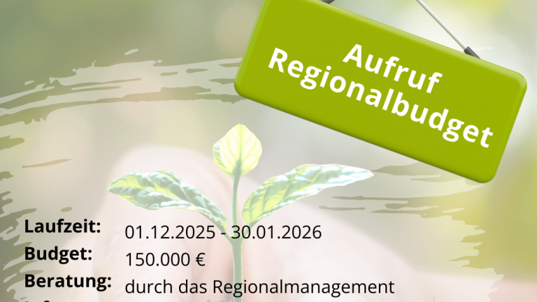 Westlausitz: Förderung für Kleinprojekte
