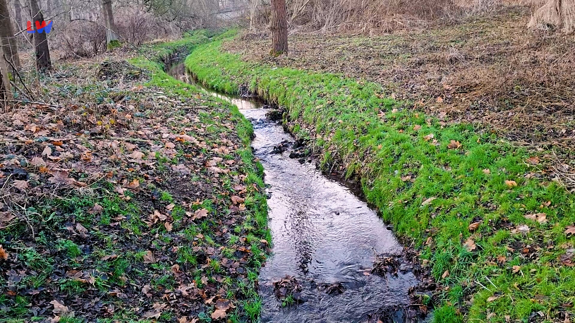 Bautzen: Besserer Hochwasserschutz am Stiebitzbach